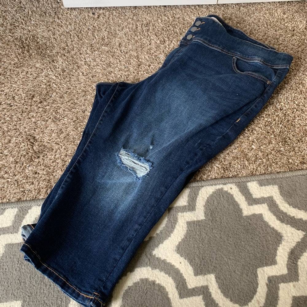 Lane Bryant Jeggings Crops